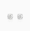 Silver Zircon Earrings