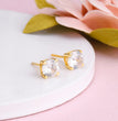 Golden Zircon Earrings