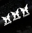 Personalized Butterfly Name Brooch