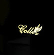 Personalized Dove Name Brooch
